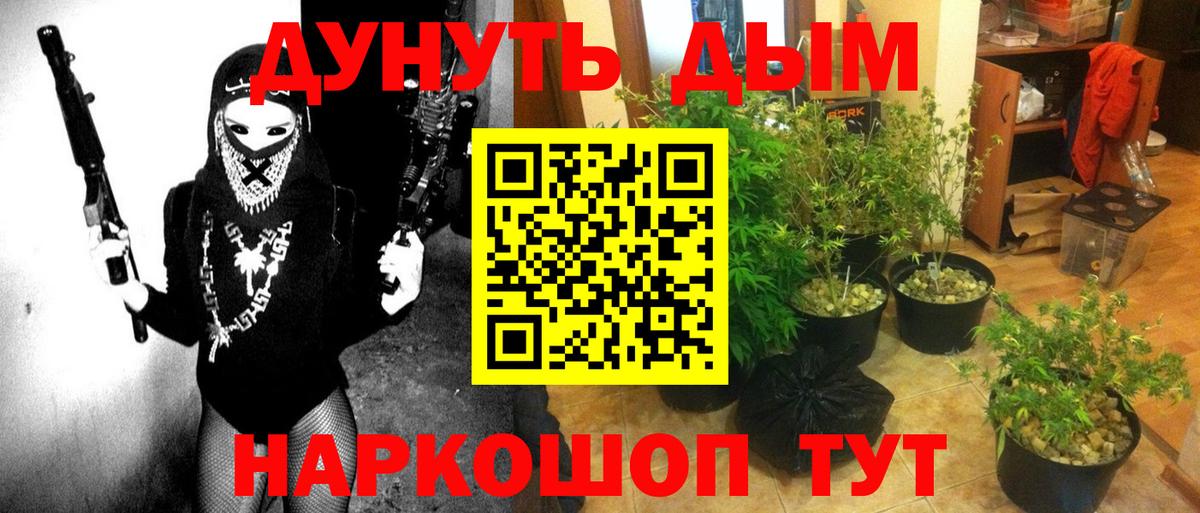 Конопля план  Бошки Шишки гибрид  Вход с VPN  Черемхово 